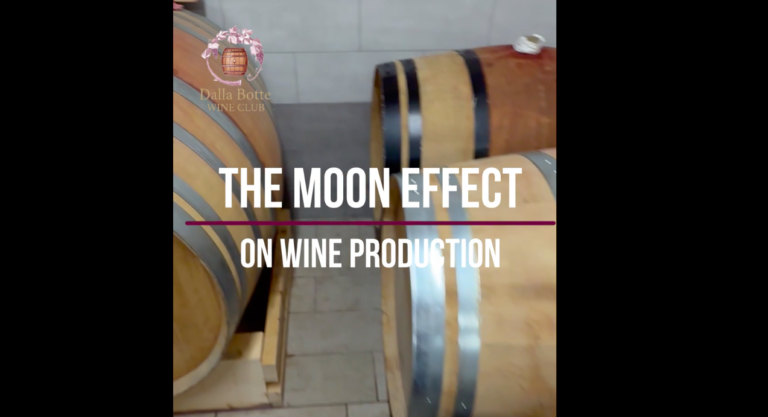 Read more about the article Bacco del Monte how the moon affects the wine